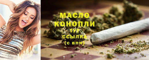 СК Инта