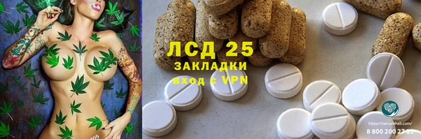 MESCALINE Аркадак